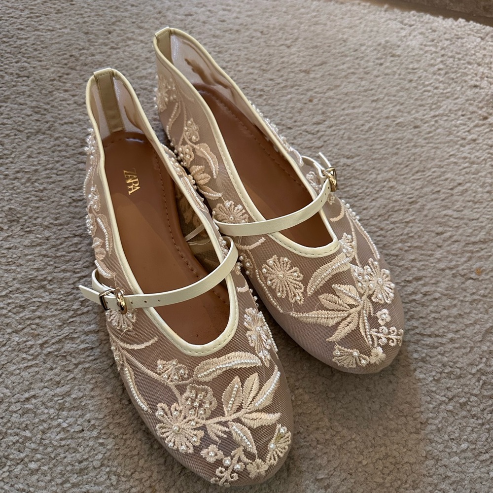 Zara Embroidered Mesh Ballet Flats - 7.5